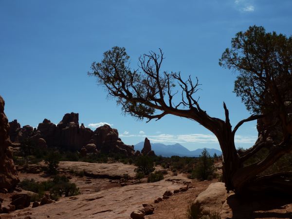 Arches Nationalpark