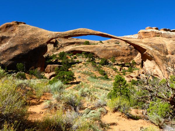 Filigrane Arbeit der Natur