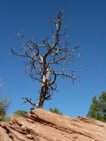 Arches Nationalpark