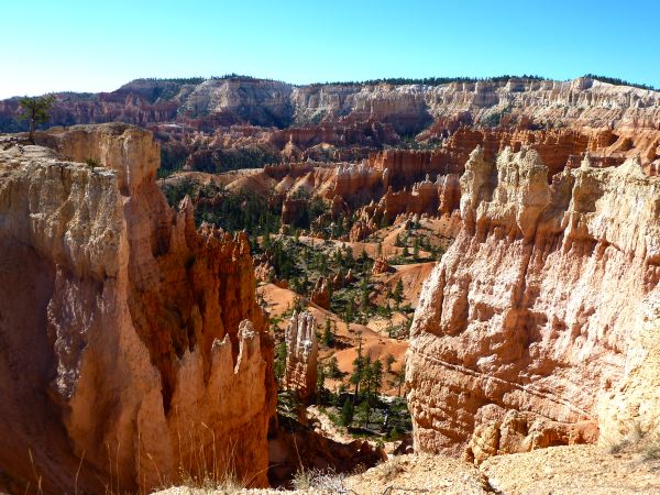 Auf dem Queens Garden Trail