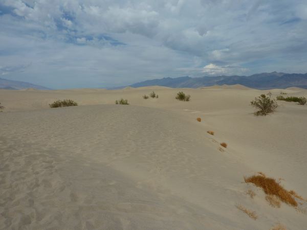 Sind wir jetzt in der Sahara?? 