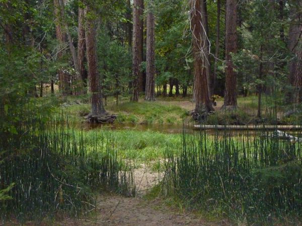 Zurück zum Campingplatz