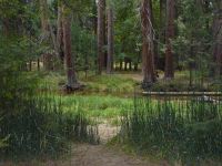 Zurück zum Campingplatz