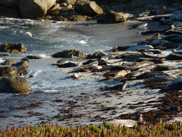 eine ist gerade aufgewacht