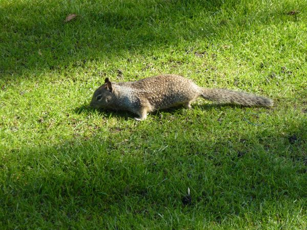 ich glaub, dem ist schlecht...