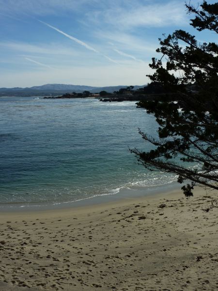 So schön es aussieht - am Strand stand ein Schild, das davor warnte, baden zu gehen: Mikrobakterien!