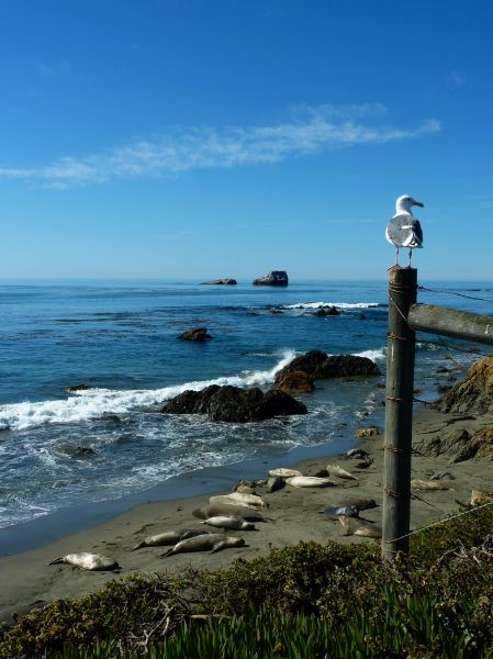 zuerst dachte ich schon, die sind tot...