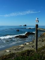 zuerst dachte ich schon, die sind tot...