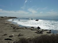 aber sie haben sich einfach ein schönes Plätzchen zum Relaxen ausgesucht...