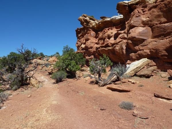 Frypan Trail