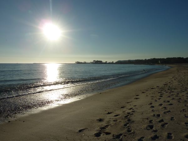 Laguna State Beach