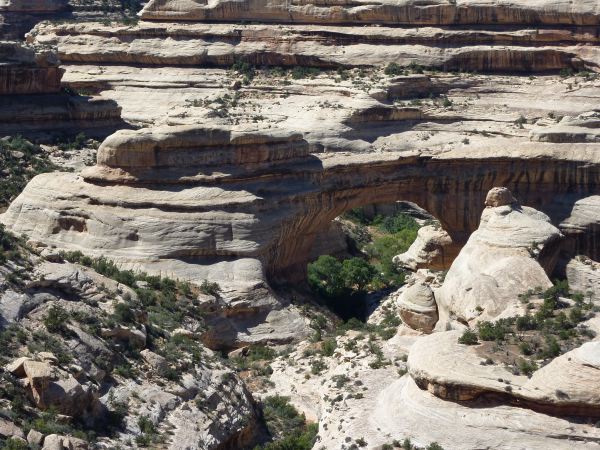 Natural Bridges - National Monument