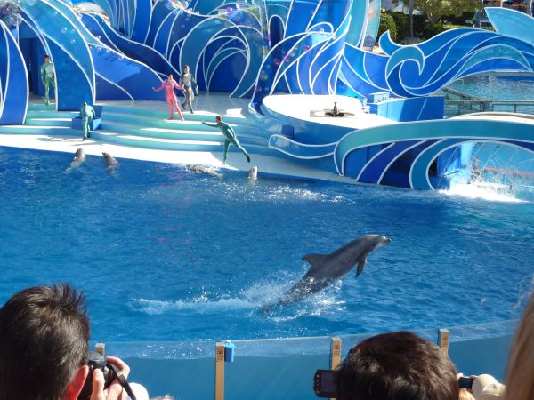 Es ist einiges geboten