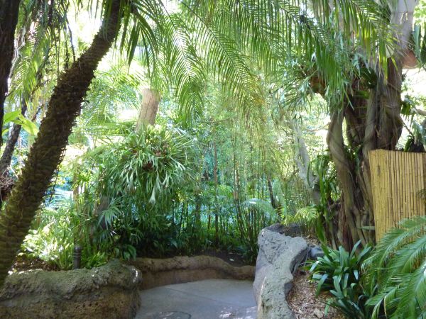 die Wege führen durch künstlich angelegten Regenwald