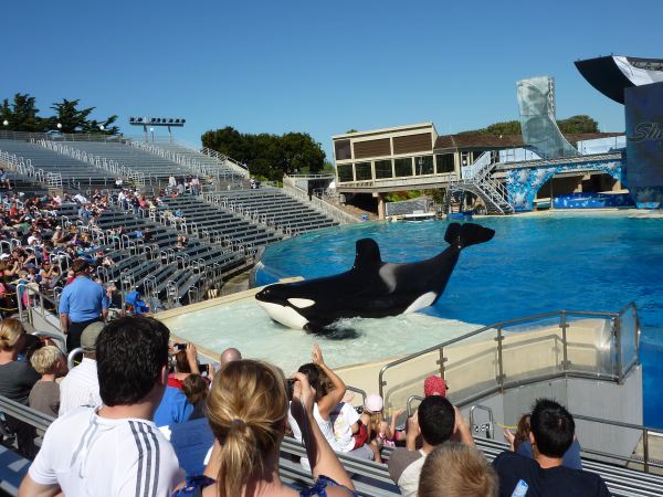 ...in voller Größe