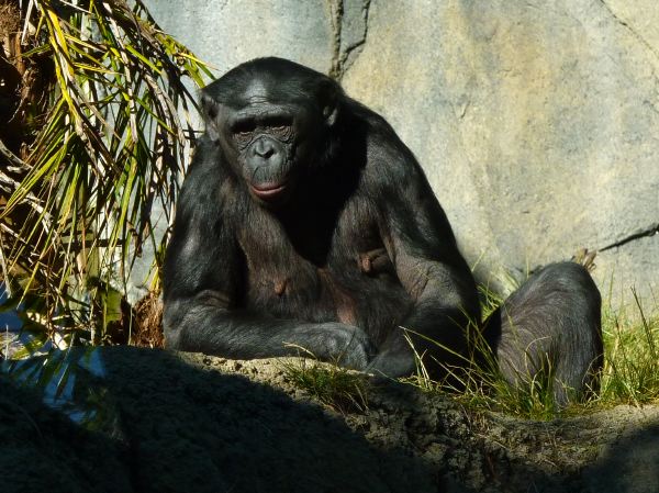 kommt mir irgendwie bekannt vor...