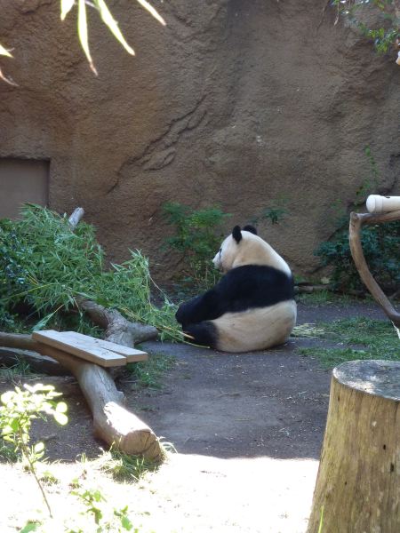 haben aber keinen Bock zu Posen