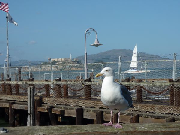 Auf der Fishermans Wharf