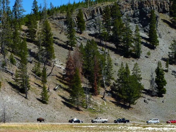 Grand Prismatic Spring