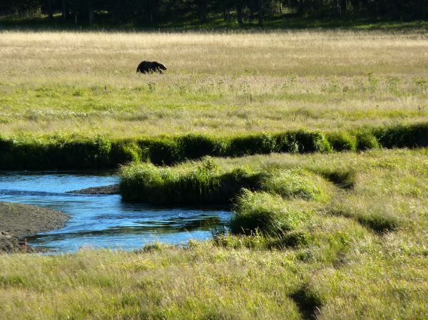 ...nur 100 Meter von unserem Schlafplatz entfernt
