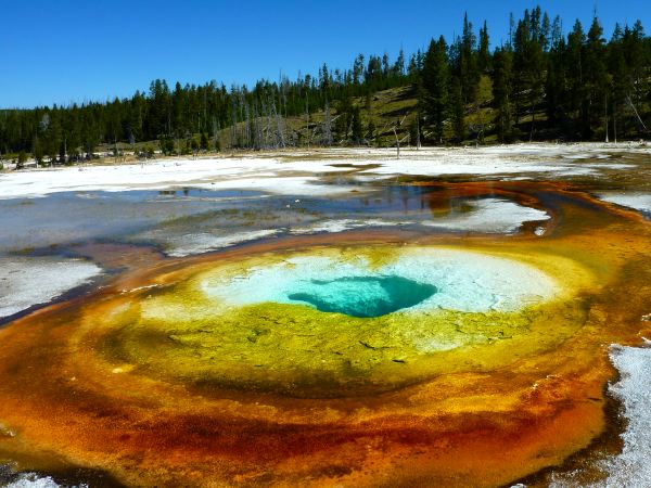 Upper Gesyer Basin