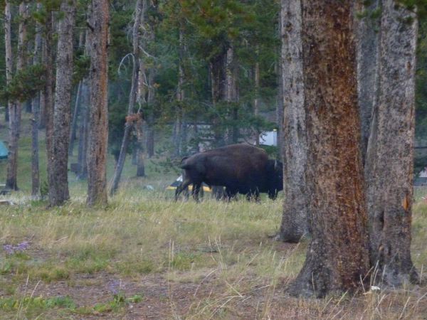 Abends kommt der Hunger...
