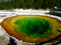 Morning Glory Pool