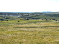 Auf dem Weg ins Canyon Village