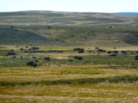 Auf dem Weg ins Canyon Village