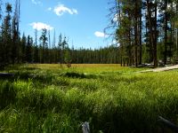 Wanderung am Yellowstone Canyon entlang.