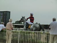 Der Jockey haut rein