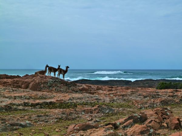 Im Nationalpark Cabo Dos Bahias