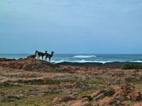 Im Nationalpark Cabo Dos Bahias