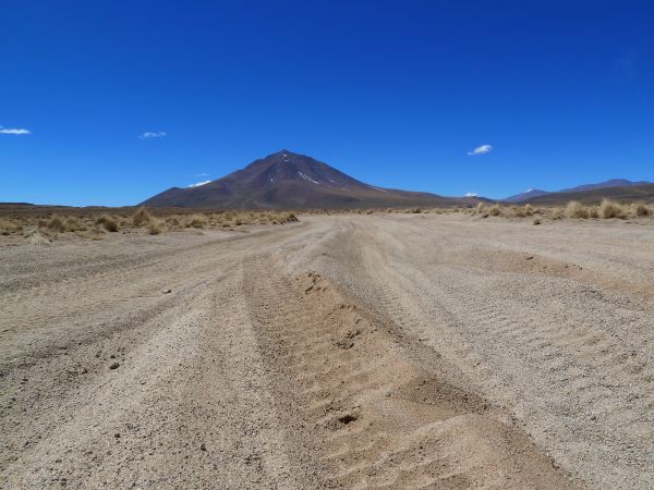 Vally im Sandspielplatz