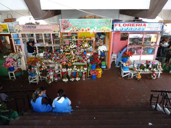 Eine Blumenecke gibts auch im Markt