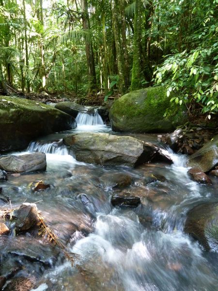 Wasserfall