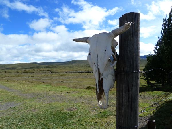 ...Cotopaxi