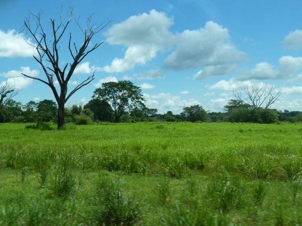 Auf dem Weg nach Barichara