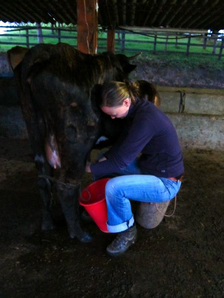 geht´s ab in den Stall