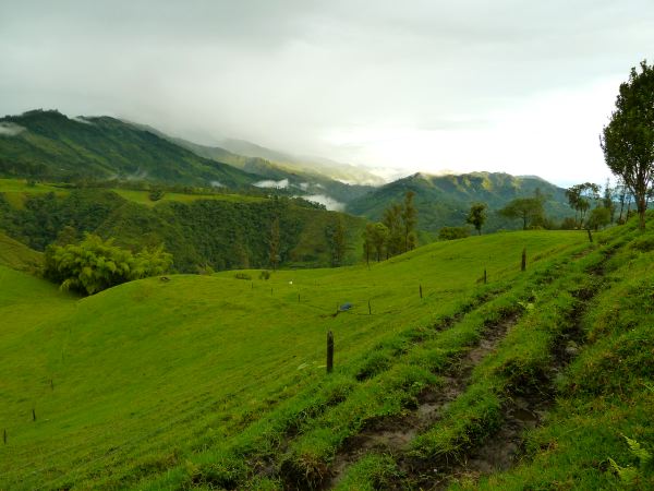 Aussicht vom neuen Stellplatz 