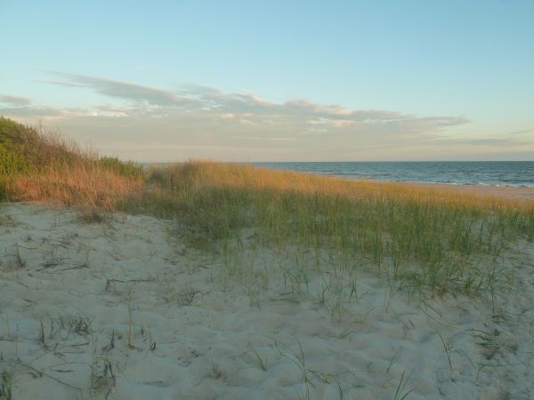 Schöner Beach