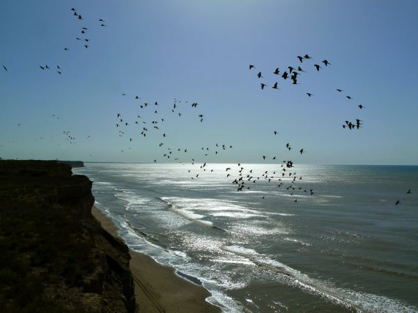 Sie surfen im Wind